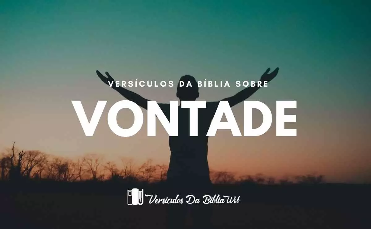 40 Versículos Sobre A Vontade De Deus Versículo Bíblico 7916