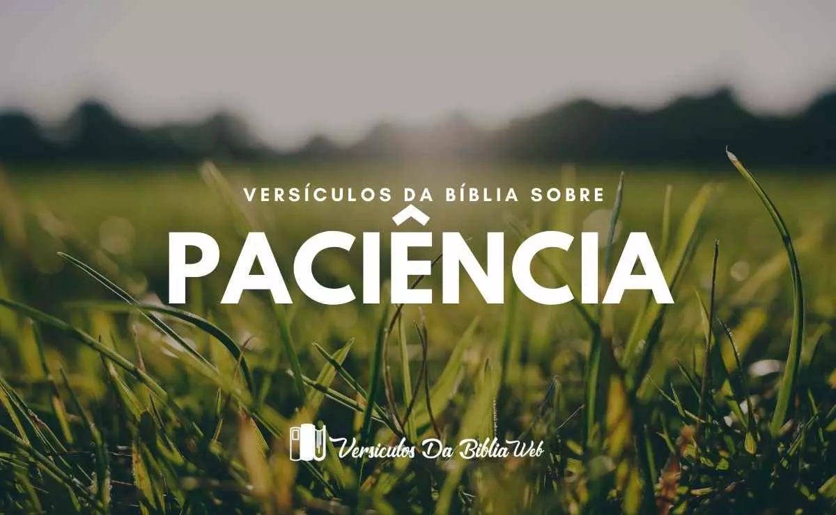 32 Versículos Sobre Paciência Versículos Bíblicos